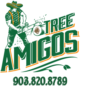 Logo of a man holding a chainsaw cutting a large branch and the words Tree Amigos and 9 0 3 8 2 0 8 7 8 9